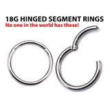 Segment Ring with Hinged Opening